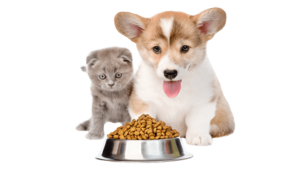 Pet Food & Care