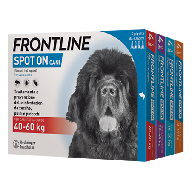 Frontline Spot On Cane